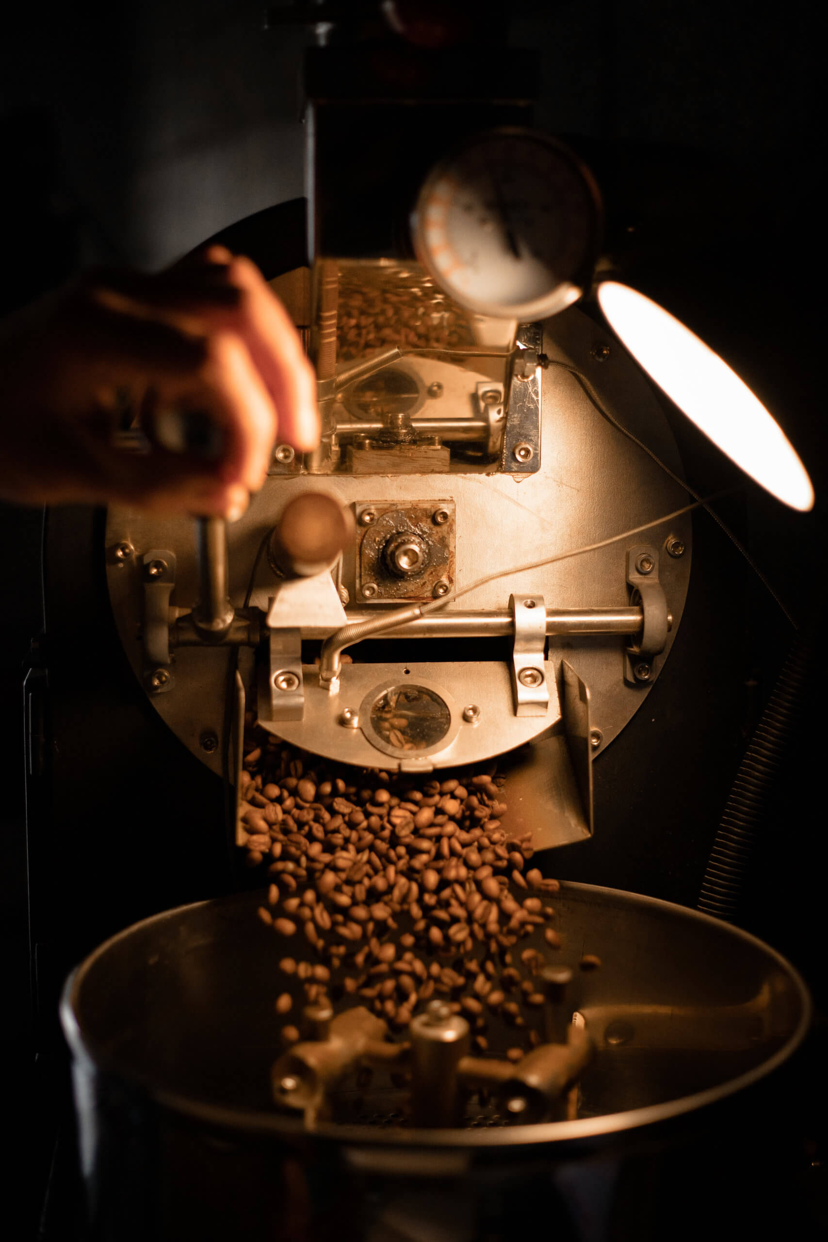 Fontaine de grains de café dans la machine à torréfier