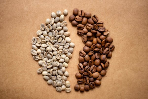 Grains de café du Brésil avant et après torréfaction