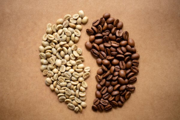 Grains de café du Guatemala avant et après torréfaction